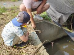 -前小桔亲子创意农场·草莓采摘·露营烧烤