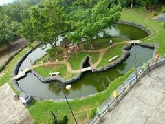 android_upload_pic-湖光岩风景区