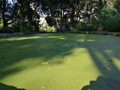 -成都市活水公园