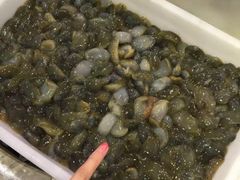 黄泥螺-渔人码头(中南店)