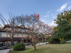 -楼外楼(西湖景区孤山路店)