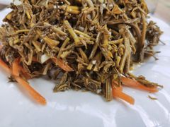 凉拌野菜-丽泽山庄·生态怀柔菜·虹鳟鱼(红螺寺店)