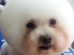 -宠福鑫动物医院·动物疾病诊疗中心(天通苑店)