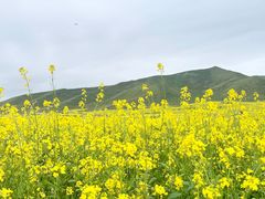 -扁都口生态休闲旅游区