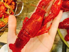 -赤甲皇(仙霞路店)