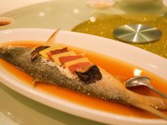 -圆苑(上海广场店)