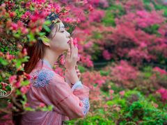 -木兰云雾山