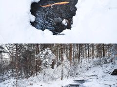 -峡谷浮石林景区