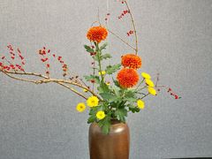 -畅和茶坊·曦瓜中国大红袍
