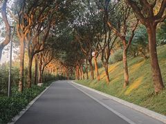 -云溪植物园