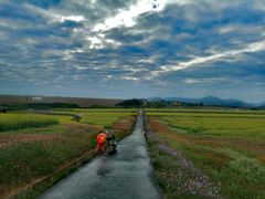-光明小镇欢乐田园