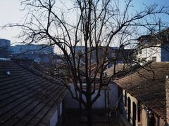 -自如ZSPACE四合院艺术餐厅