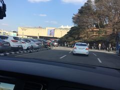 -新罗免税店(首尔总店)