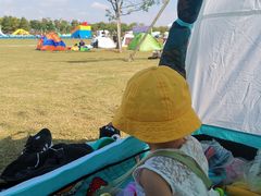 -春花秋色城市公园