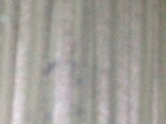 -明月山天沐温泉度假村