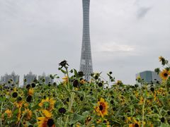 -海心沙亚运公园
