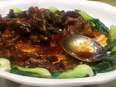 蹄筋烧海参-舜耕山庄南风阁(舜耕路店)