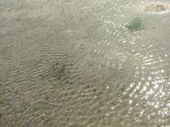 -北海金海湾红树林生态旅游区