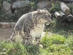 -青藏高原野生动物园
