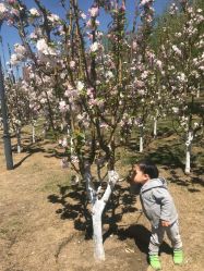 -大望京儿童游乐场