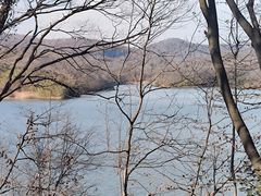 -佛手湖郊野公园