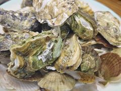 海鲜-老家黄墩小错鸡·活海鲜