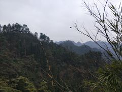 -娄山关景区