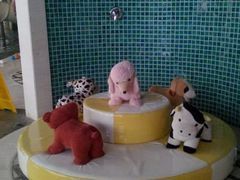 -月亮河温泉度假酒店