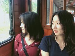 -合肥滨湖国家森林公园