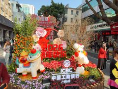 -越秀西湖花市(广州城市广场花卉店)