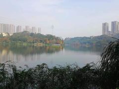 -重庆彩云湖湿地公园