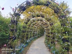 -福建鲤鱼洲酒店