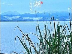 -绿城千岛湖喜来登度假酒店