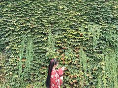 -汉仪华裳汉服旗袍·摄影写真馆(乌镇西栅店)