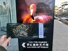 -罗红摄影艺术馆