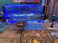 水产区-领鲜活海鲜榴莲自助火锅(东门店)