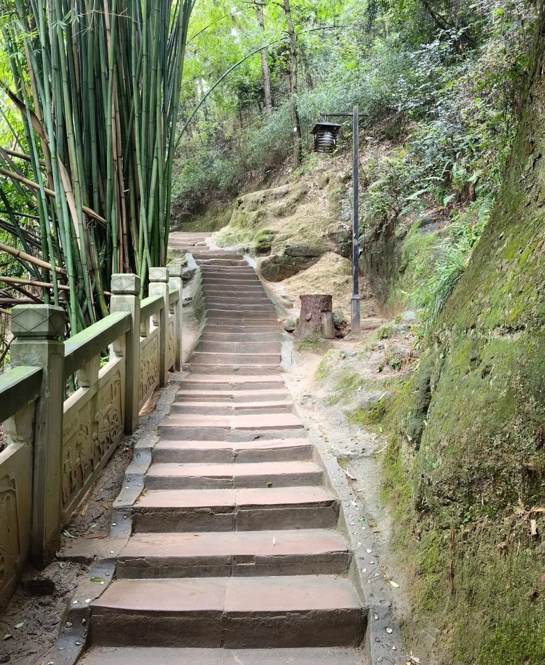 鹤林禅院图片