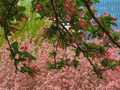 -元大都城垣遗址公园