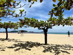 -三亚亚龙湾天域度假酒店