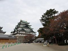 -名古屋城