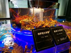 波斯顿龙虾-粗茶淡饭·隐庐私厨(东亭店)