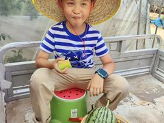 -庞各庄西瓜蔬菜采摘园·锦华瓜园