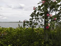 -上海滴水湖皇冠假日酒店