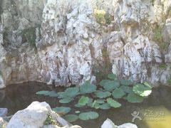 -菊花台公园