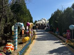 -伏羲山旅游区