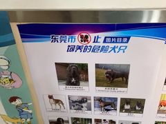 -宠颐生宠物医院外科·内科·皮肤科·影像科(石龙店)