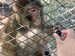 -水上乐园·欢乐世界