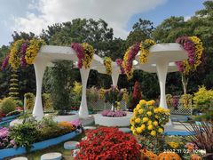 -上海共青森林公园