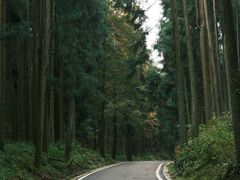 -山王坪喀斯特国家生态公园