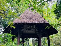 -成都杜甫草堂博物馆